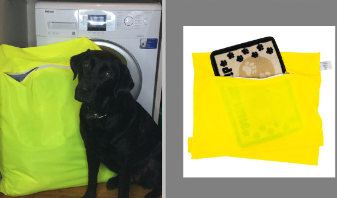 Washing Dogs Beds in Washing Machine Home
